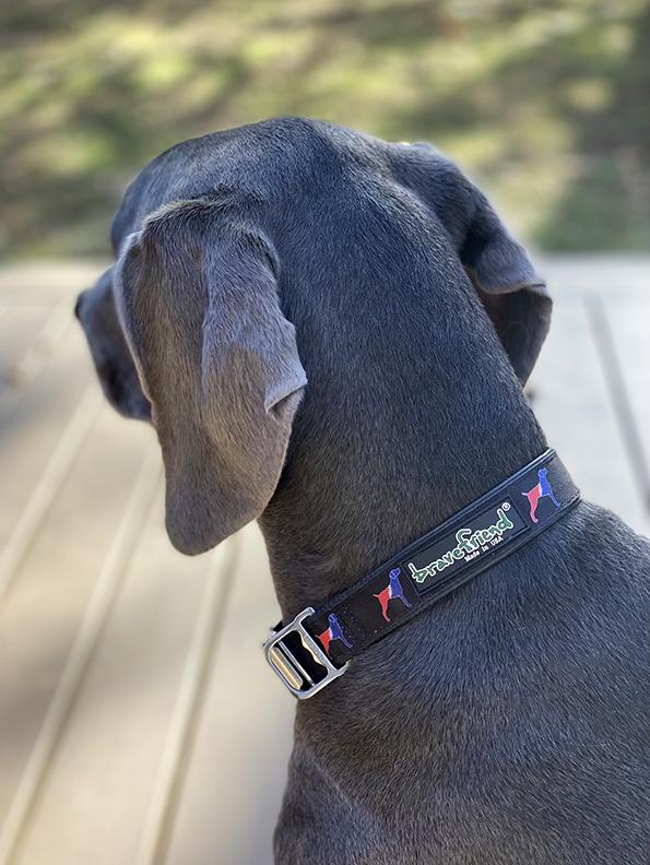 Bravefriend "Grateful Dog" Recycled Bicycle Tire Dog Collar